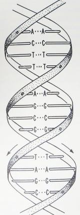 The DOUBLE HELIX. Being a Personal Account of the Discovery of the Structure of DNA.