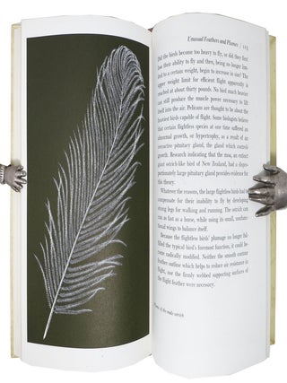 FEATHERS Plain and Fancy.