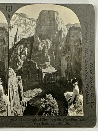 Item #39300 The TEMPLE Of ZION From The WEST RIM TRAIL, Zion National Park, Utah. 29038. 1124....