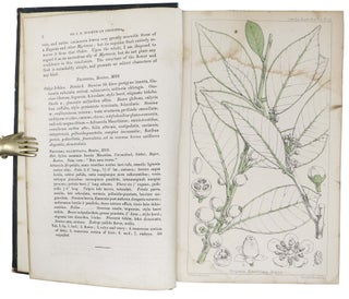JOURNAL Of The PROCEEDINGS Of The LINNEAN SOCIETY. BOTANY. Vol. V