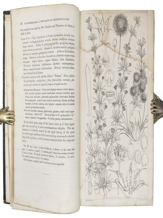 JOURNAL Of The PROCEEDINGS Of The LINNEAN SOCIETY. BOTANY. Vol. V