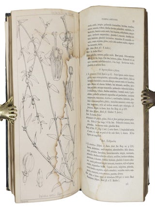 JOURNAL Of The PROCEEDINGS Of The LINNEAN SOCIETY. BOTANY. Vol. V