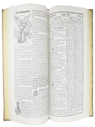 AYER'S ALMANAC For 1881.; In English, German, Dutch, Norwegian, Swedish, French, Spanish, Portugese, and Bohemian.