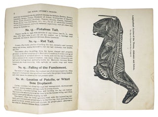 The HORSE OWNER'S FRIEND. A Treatise on Diseases of The Horse, Cattle and Fowl.