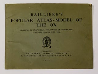 Item #48686 BAILLIÈRE'S POPULAR ATLAS - MODEL Of The OX.; Showing 390 Anatomical Structures on...