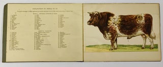 BAILLIÈRE'S POPULAR ATLAS - MODEL Of The OX.; Showing 390 Anatomical Structures on Superposed Coloured Plates with Key
